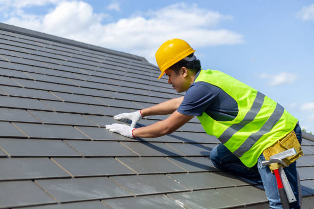 Best Storm Damage Roof Repair  in Laingsburg, MI