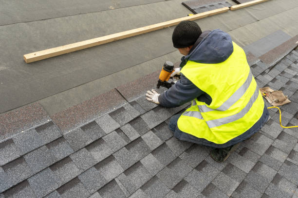 Best Roof Waterproofing Services  in Laingsburg, MI