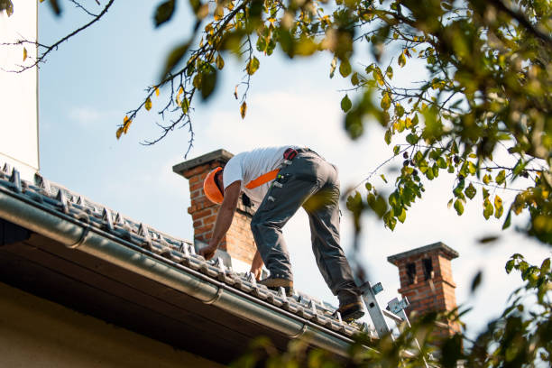 Laingsburg, MI Roofing Contractor Company