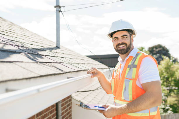 Best Sealant for Roof  in Laingsburg, MI