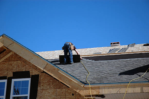 Best Local Roofing Companies  in Laingsburg, MI
