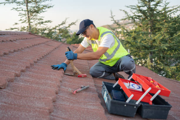 Quick and Trustworthy Emergency Roof Repair Services in Laingsburg, MI