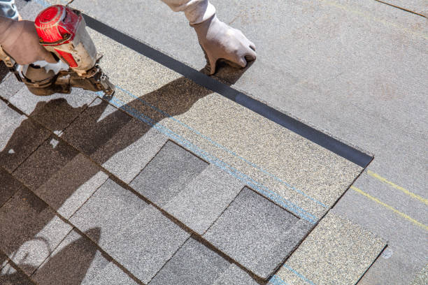 Best Flat Roof Repair Services  in Laingsburg, MI