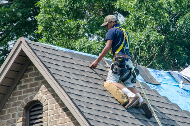 Best Commercial Roofing Services  in Laingsburg, MI