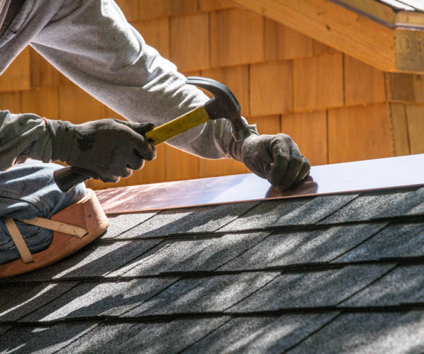Best Roof Waterproofing Services  in Laingsburg, MI